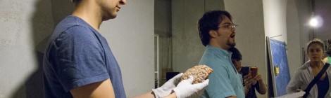 Estaciones de Neurociencia